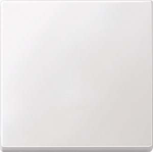 Merten Wippe pws 433119 Merten Wippe pws 433119