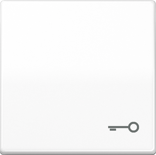 Jung Wippe Symbol TÜR aws für Taster AS 591 T WW