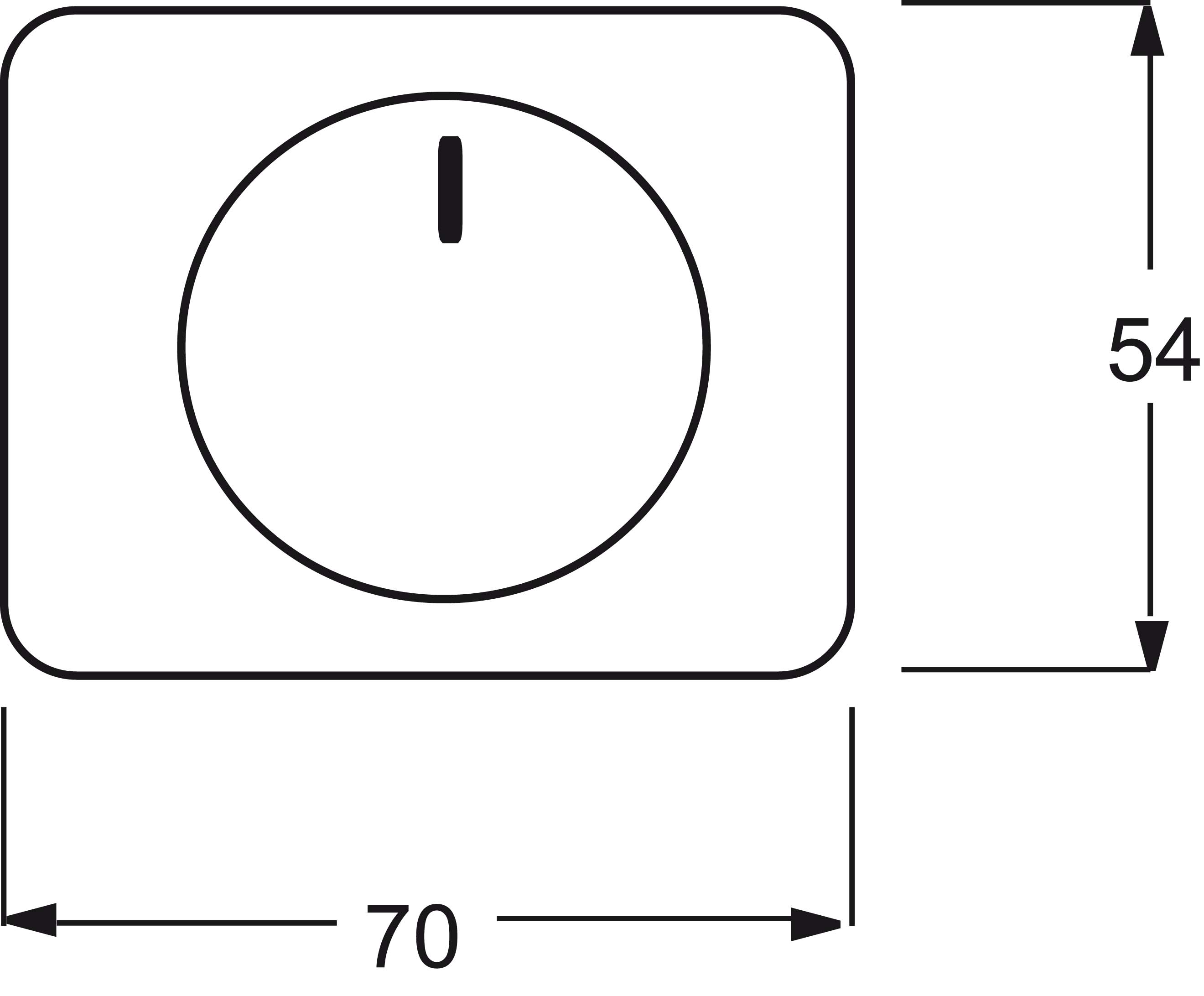 Busch-Jaeger Zentralscheibe brz für Drehdimmer 6540-21 - 2CKA006599A1490