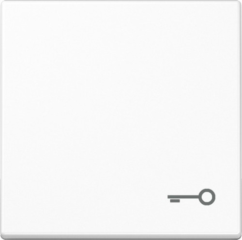 Jung Wippe Symbol TÜR aws für Taster A 590 T WW - A590TWW