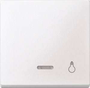 Merten Wippe Kontr.Fenster pws Aufdruck Licht 430919 - 430919