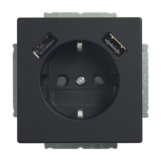 Busch-Jaeger SCHUKO-2x USB Steckdose 20 EUCB2USB-885 günstig online kaufen