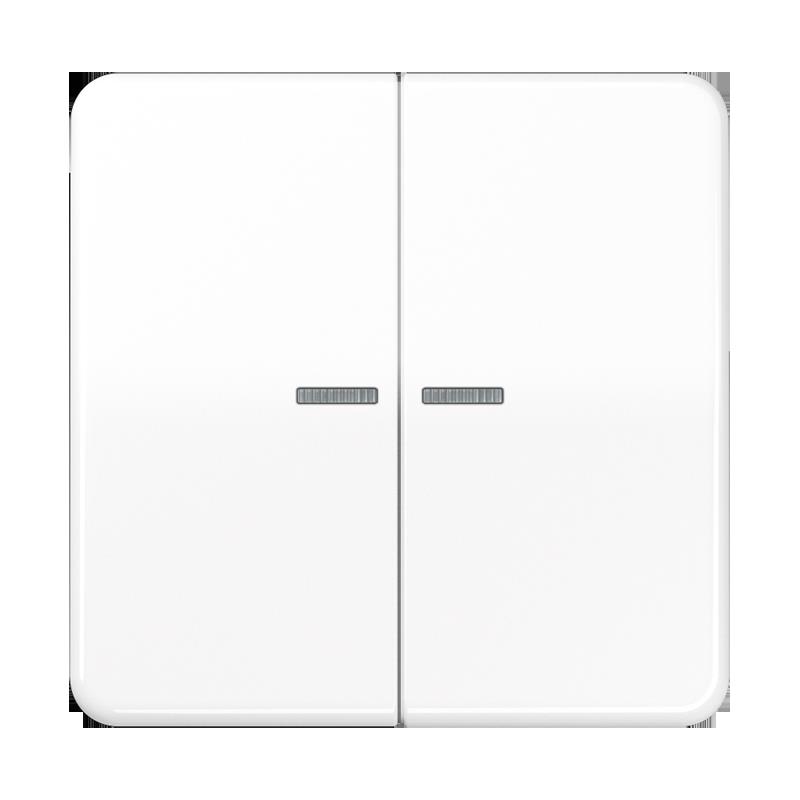 Jung Taster 2fach HOME BT CD 17102 WW