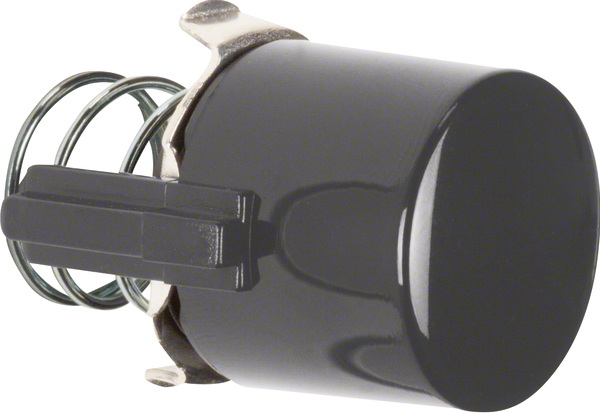 Berker Tasterknopf br 122501 günstig online kaufen