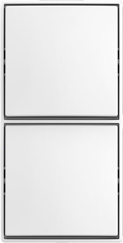 Busch-Jaeger Kombi Schalter/Schalter AP 2601/6/2601/6 APJ524
