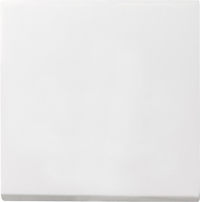 Gira Wippe Wechselsch. rws matt 029627