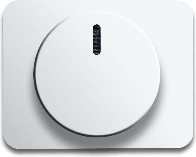 Busch-Jaeger Zentralscheibe stws gl für Drehdimmer 6540-24G - 2CKA006599A2324