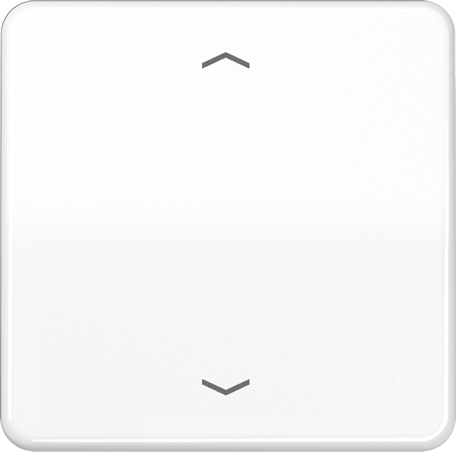 Jung Wippe Symbole aws für Taster CD 590 P WW