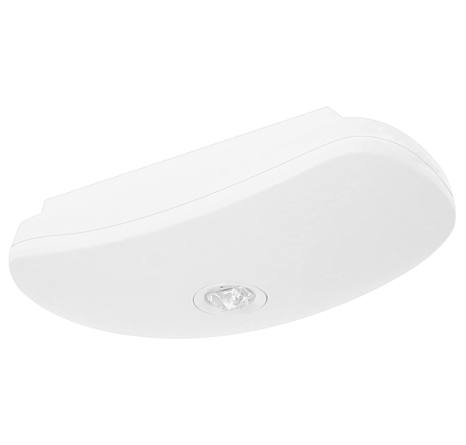 Fischer LED-Sicherheitsleuchte 3h opt.Mesh/NB Add.on BSU319M