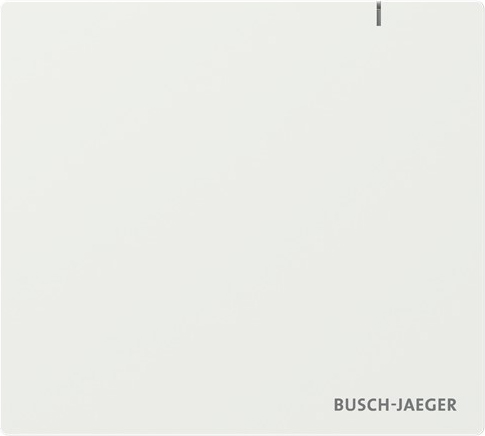 Busch-Jaeger System Access Point 3.0 SAP.13