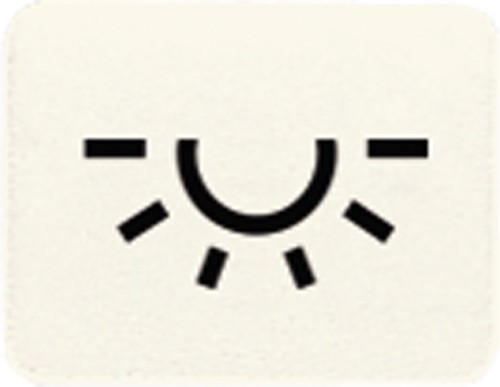 Jung Symbol ws LICHT 33 L - 33L