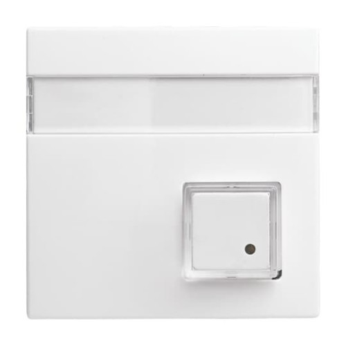 Busch-Jaeger Zentralscheibe alpinws 1571 CN-914 - 2CKA001582A0397