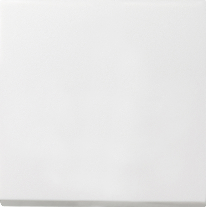 Gira Wippe Wechselsch. rws-gl 0296112