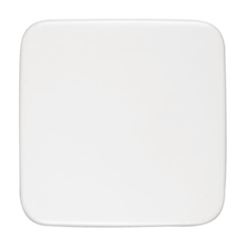 Busch-Jaeger Blindzentralscheibe aws 54x54mm 1576 C-214 - 2CKA001582A0354