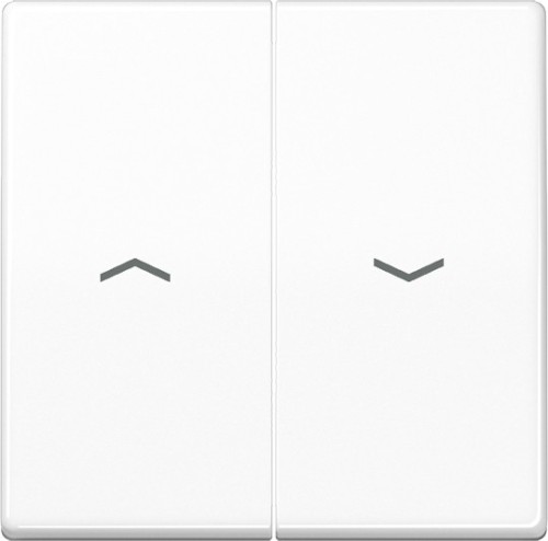 Jung Wippe Symbole aws für Jal.Schalter AS 591-5 PBF WW - AS591-5PBFWW