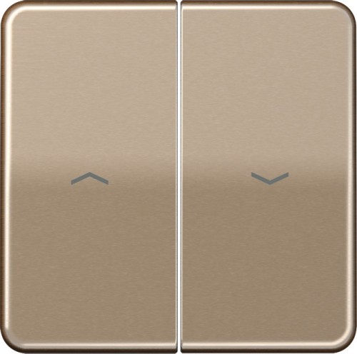 Jung Wippe Symbole gold brz für Taster CD 595 P GB - CD595PGB