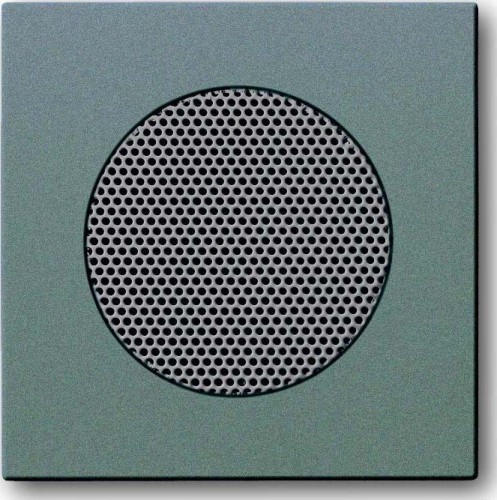 Busch-Jaeger Zentralscheibe meteor/gr f.EB-Lautsprecher 8253-803 - 2CKA008200A0115