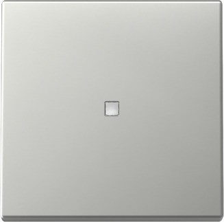 Gira Wippe Kontrollf. Edelstahl 3290600 - 3290600