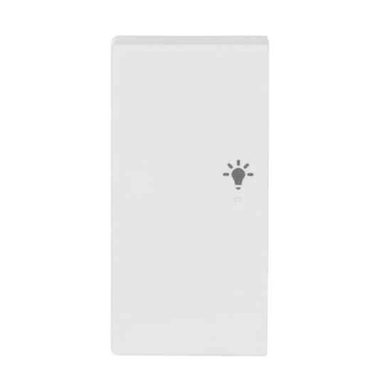 Busch-Jaeger Wippe studiows mt future linear 6231-21-884