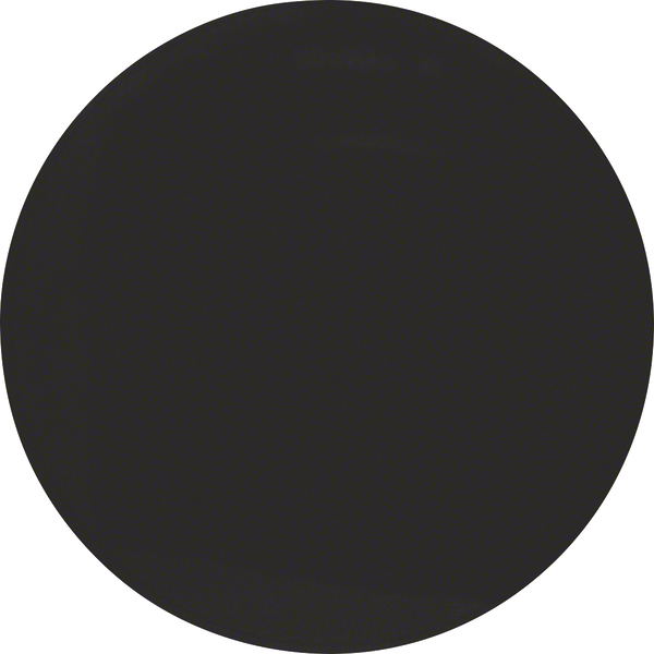 Berker Wippe sw/gl 16202045