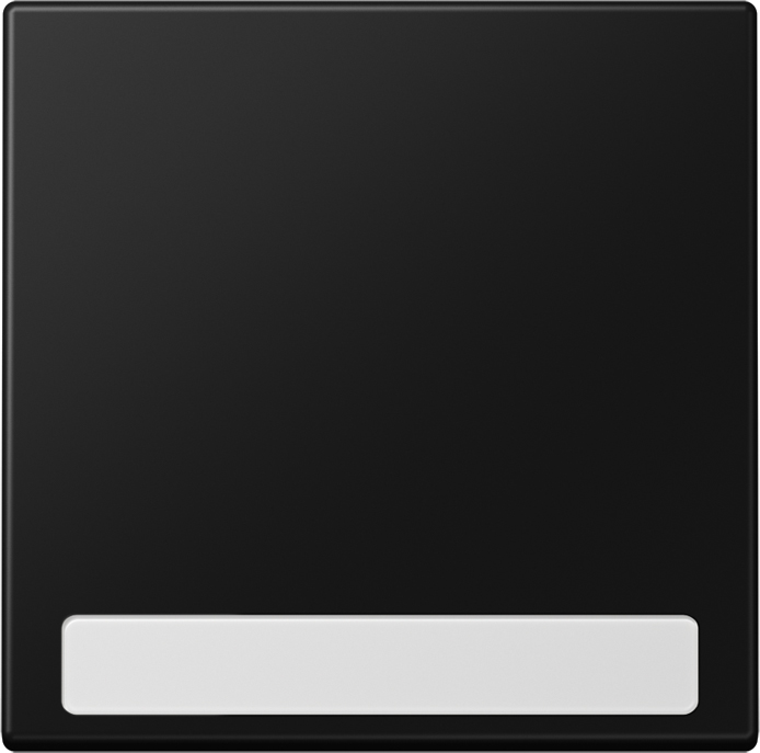 Jung Wippe f.Schalter/Taster NA LS 990 SWM