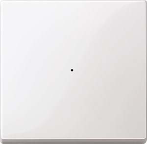Merten Wippe pws/gl f.Tastermodul 1f. 619119 günstig online kaufen
