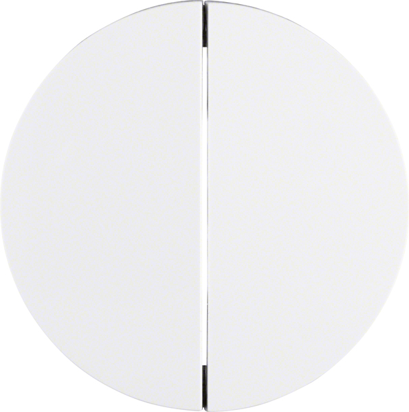 Berker Wippe pows/gl 16232089 günstig online kaufen