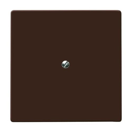 Busch-Jaeger Blindzentralscheibe br mit Tragring 2138-31 - 2CKA001710A3799