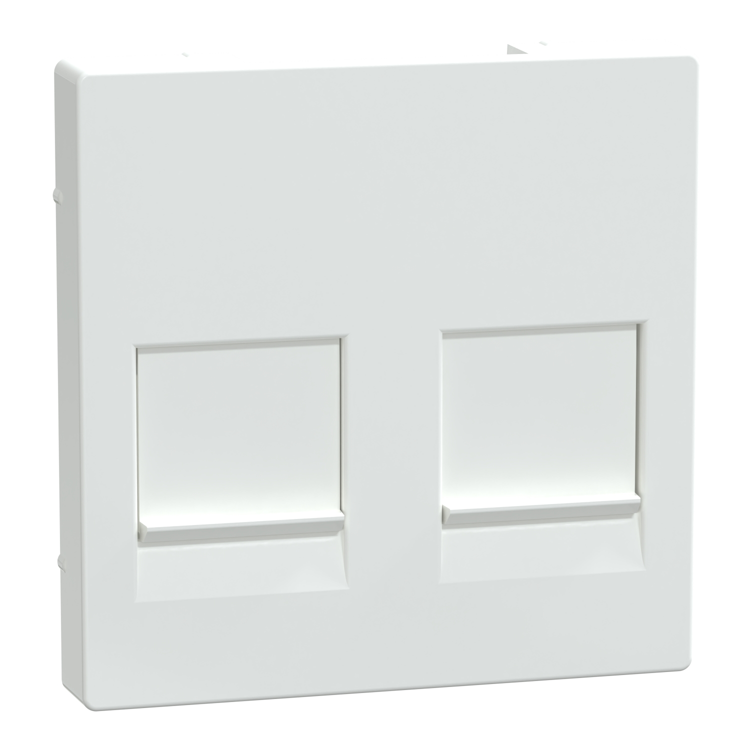 Merten Zentralplatte 2f.akws/gl für Modular-Jack MEG4562-0325