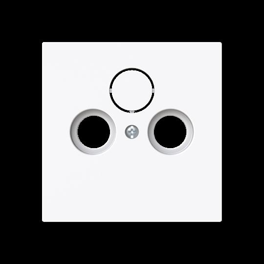 Busch-Jaeger Zentralscheibe Steckdose 2/3-fach 1743-44G günstig online kaufen