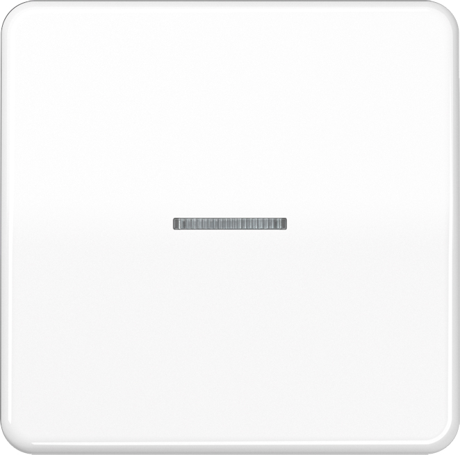 Jung Wippe Lichtleiter aws für Taster CD 590 KO5 WW - CD590KO5WW günstig online kaufen