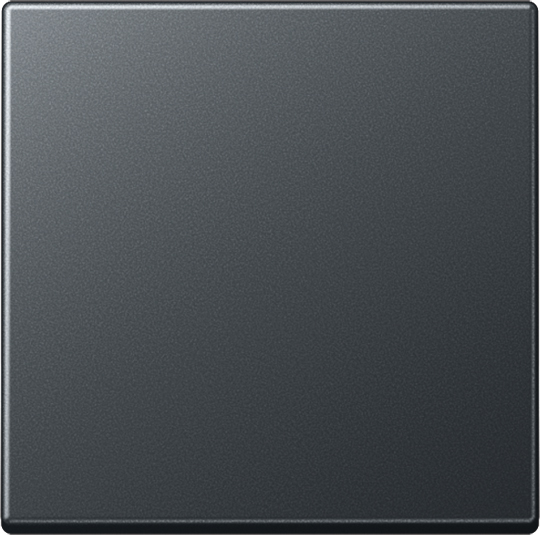Jung Steuertaste Standard A 1700 BF ANM