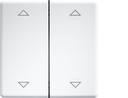 Eltako Doppelwippe lasergraviert f.55x55mm rws/glänz DW-FT55-wg+2P - 30000985