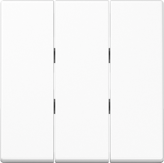 Jung Wippe 3-fach für Schalter+Taster A 593 BF WW