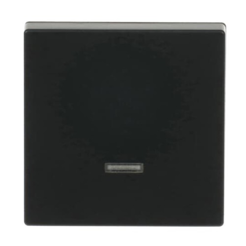 Busch-Jaeger Bedienelement Memory 6543-885-101 - 2CKA006599A2968