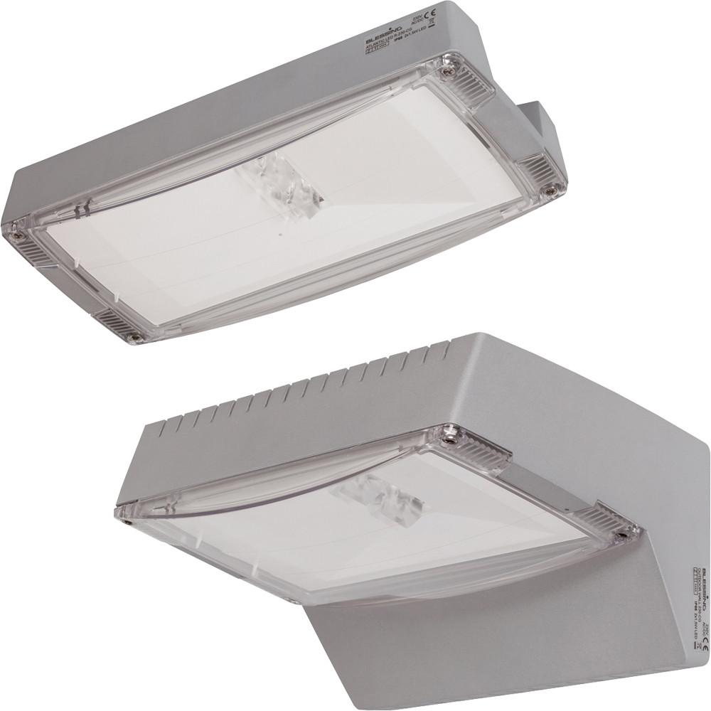 Ceag Notlichtsysteme Sicherheitsleuchte m.asymetr.Optik,IP65 LED R CG-S - 40071354892