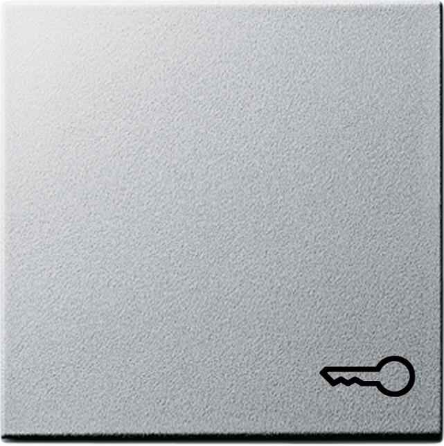 Gira Wippe Tür alu System55 028726 günstig online kaufen