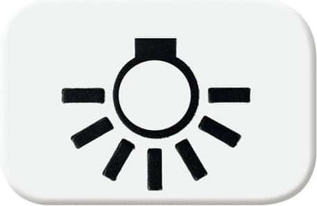 Busch-Jaeger Tastersymbol aws Licht 2525 LI-214