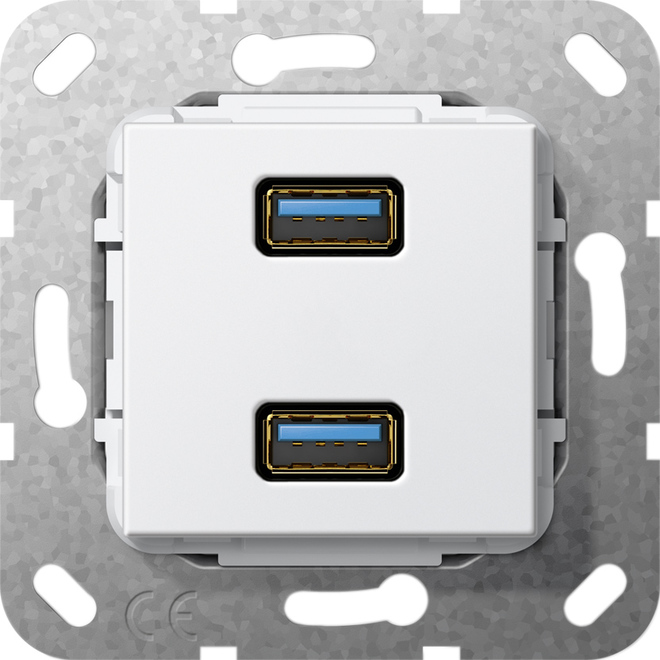Gira USB 3.0 A 2fach rws Gender Changer 568403 günstig online kaufen