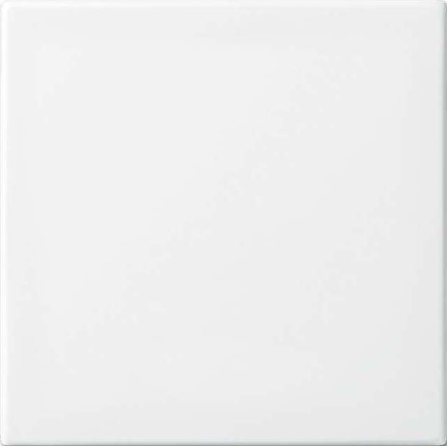 Busch-Jaeger Wippe aws Busch-balance SI 2506-914 - 2CKA001731A2002 günstig online kaufen