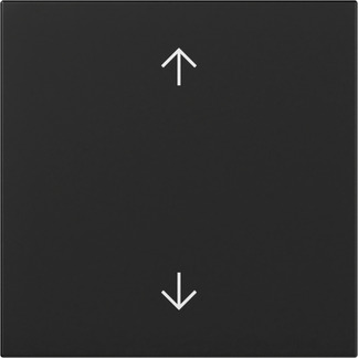 Gira Wippe Pfeile Schwarz m 3616005