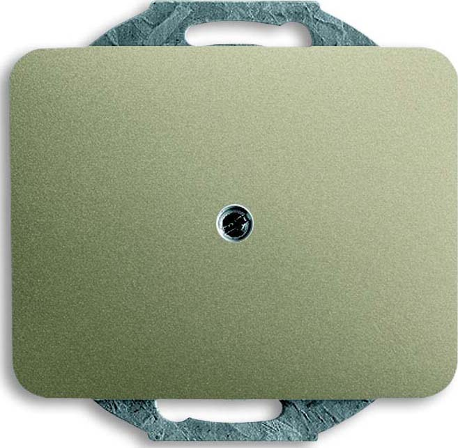 Busch-Jaeger Zentralscheibe pall Blindabdeckung 1742-260