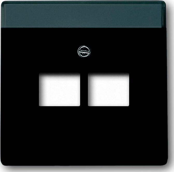 Busch-Jaeger Zentralscheibe sw mt f.UAE-Anschlussdo.2f 1803-02-885 - 2CKA00 günstig online kaufen