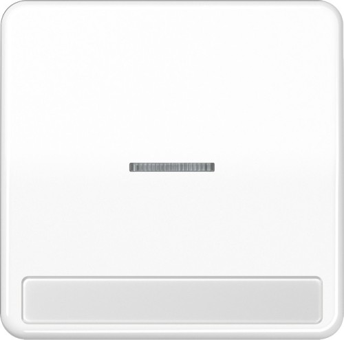 Jung Wippe Licht./Schriftf.aws für Taster CD 590 NAKO5 WW - CD590NAKO5WW