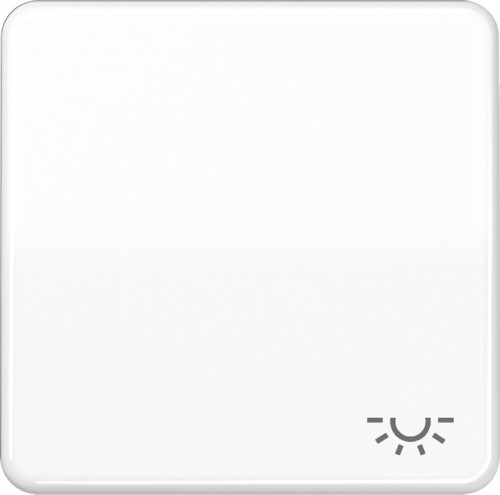 Jung Wippe Symbol LICHT aws für Taster CD 590 L WW - CD590LWW