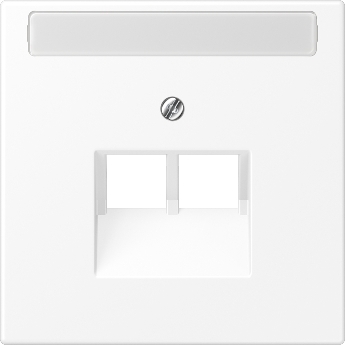 Jung Abdeckung f.IAE/UAE-Anschlussd LS 969-2 NAUA WWM