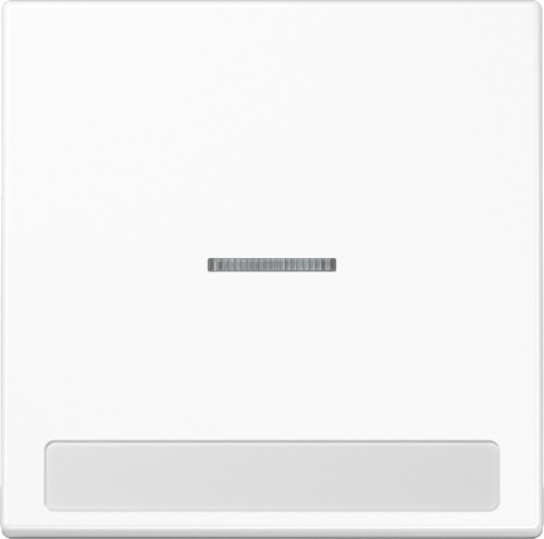 Jung Wippe Licht./Schriftf.aws für Schalter/Taster LS 990 NAKO5 WW - LS990NAKO5WW