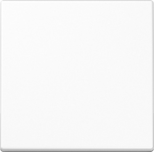 Jung Steuertaste Standard A 1700 BF WW - A1700BFWW