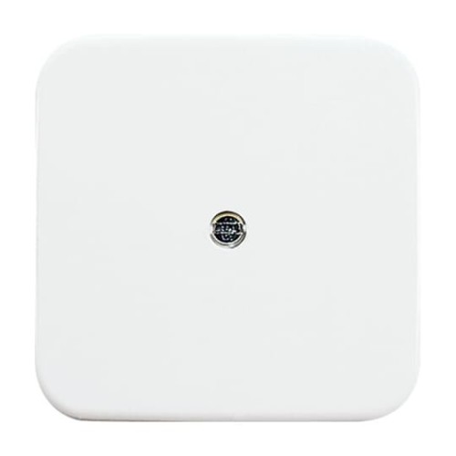 Busch-Jaeger Zentralscheibe aws VDo Telefonverbinderdose 2536-214 - 2CKA001724A0921