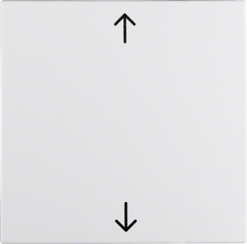 Berker Wippe pws Symbol Pfeil 16201919 - 16201919